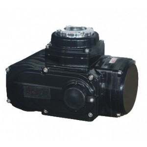 RPS-30
